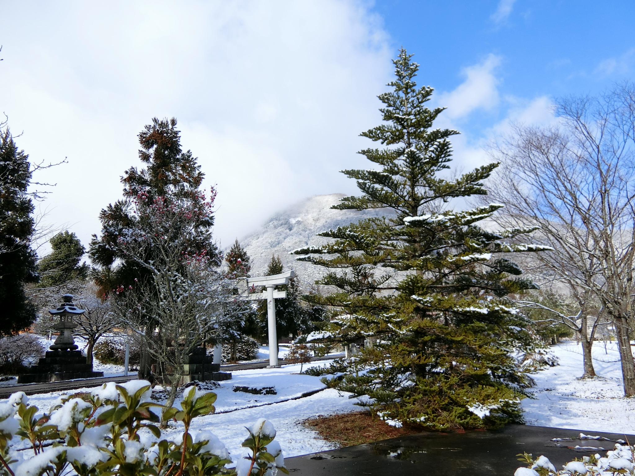 なごり雪でしょうか・・・のイメージ画像｜広島市カーリース専門店ならフラット７五日市